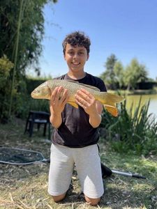 Common Carp
