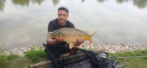 Mirror Carp