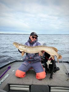 Northern Pike