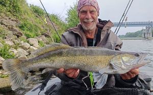 Zander
