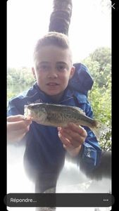 Largemouth Bass
