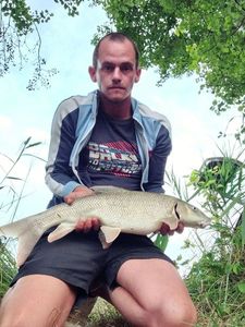 Barbel