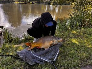 Mirror Carp