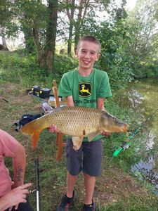 Common Carp