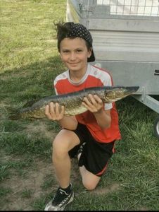 Northern Pike
