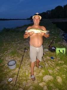 Zander