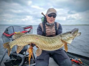 Northern Pike