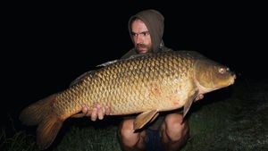 Common Carp