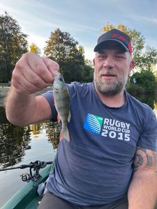 European Perch
