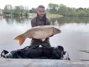 Common Carp