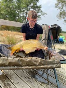 Common Carp