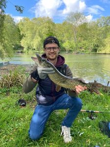 Northern Pike