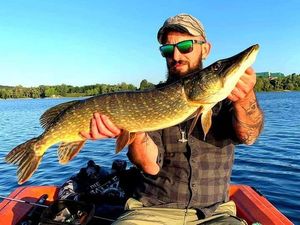 Northern Pike