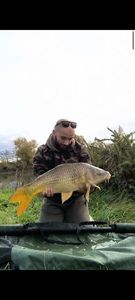 Common Carp