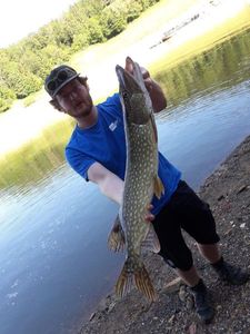 Northern Pike
