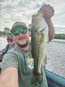 Largemouth Bass