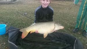 Common Carp