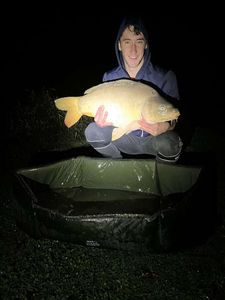 Mirror Carp