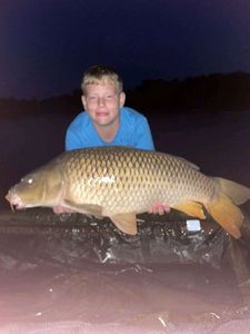 Common Carp