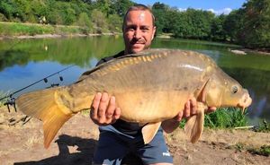 Mirror Carp