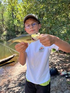 Smallmouth Bass
