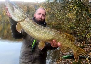 Northern Pike