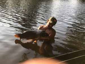 Common Carp