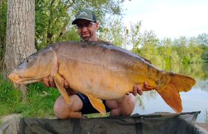 Mirror Carp
