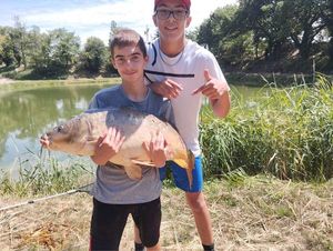 Mirror Carp