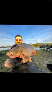 Leather Carp