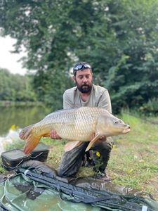 Common Carp