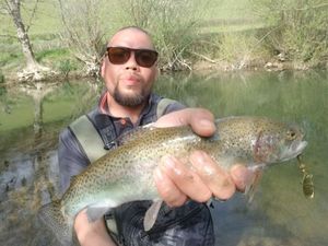 Rainbow Trout
