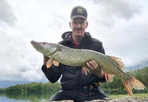Northern Pike