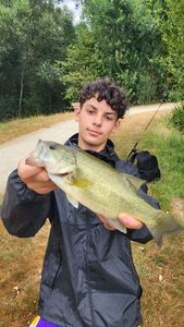 Largemouth Bass