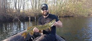 Northern Pike