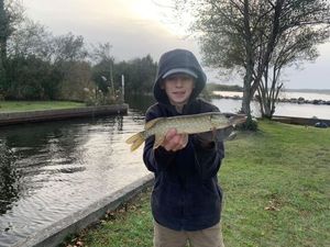 Northern Pike