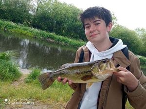 Largemouth Bass