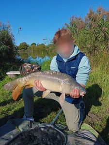Mirror Carp