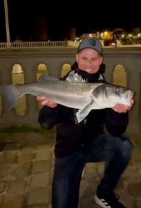 European Bass (Seabass)