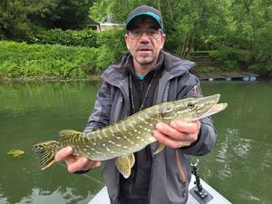 Northern Pike