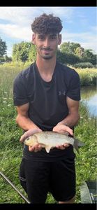 Crucian Carp