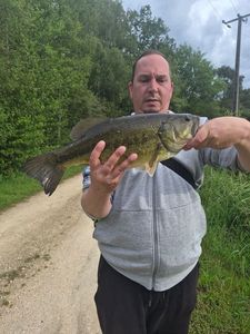 Smallmouth Bass