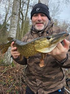 Northern Pike