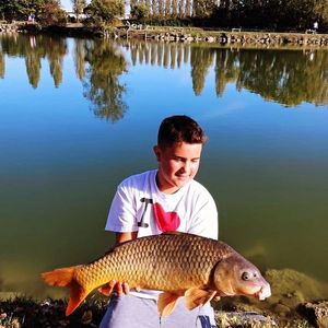 Common Carp