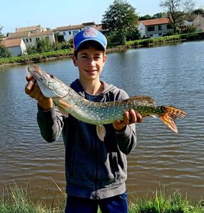 Northern Pike