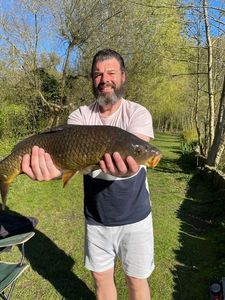 Common Carp