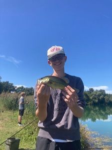 Largemouth Bass