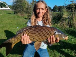 Common Carp