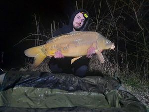 Mirror Carp