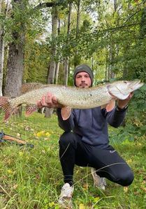 Northern Pike